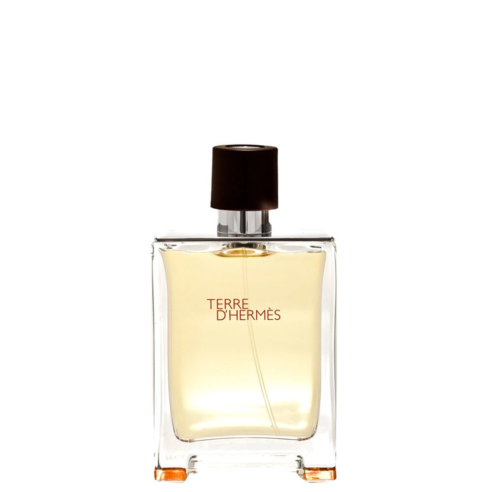 HERMES Terre D'Hermès Eau de Toilette 100 ml