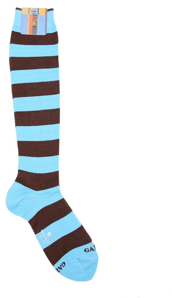 Gallo Gambaletti a righe spesse azzurre e marroni Gallo Gambaletti a righe spesse azzurre e marroni