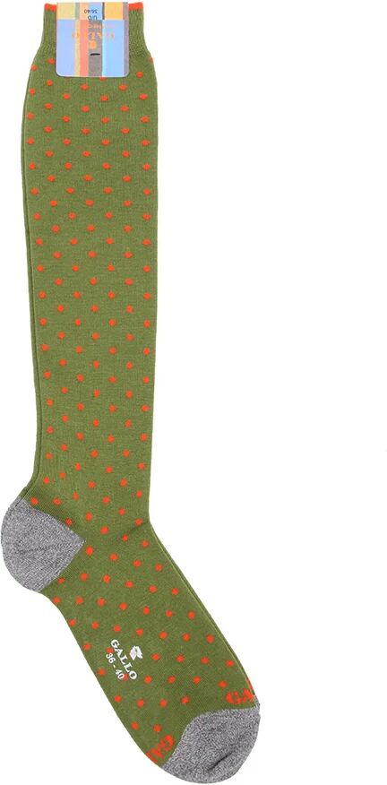 Gallo Gambaletti a fantasia con pois verdi e rossi Gallo Gambaletti a fantasia con pois verdi e rossi