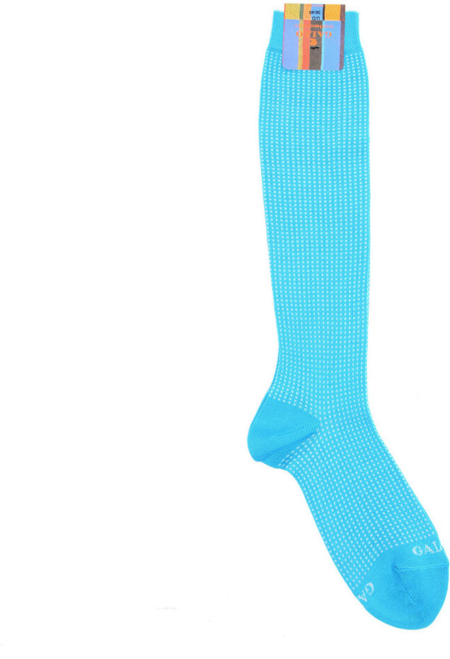 Gallo Calze lunghe turchesi Gallo Calze lunghe turchesi