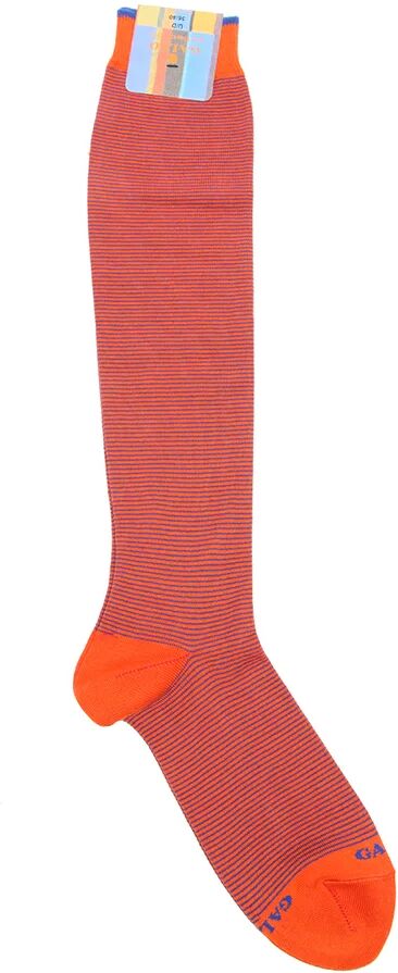 Gallo Calze lunghe a righe sottili arancioni Gallo Calze lunghe a righe sottili arancioni