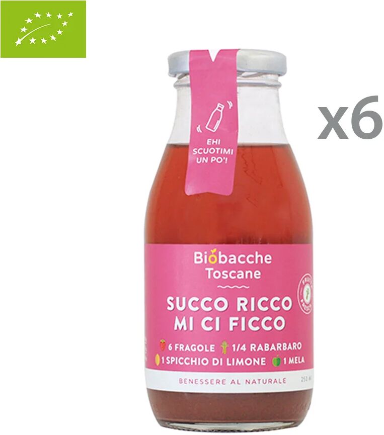 Biobacche Toscane 6 bottigliette - Succo ricco mi ci ficco 250 ml