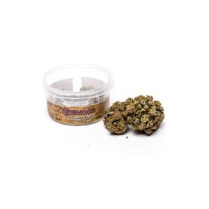 Seminata Strawberry Fields  Cannabis Sativa Light 2 Gr