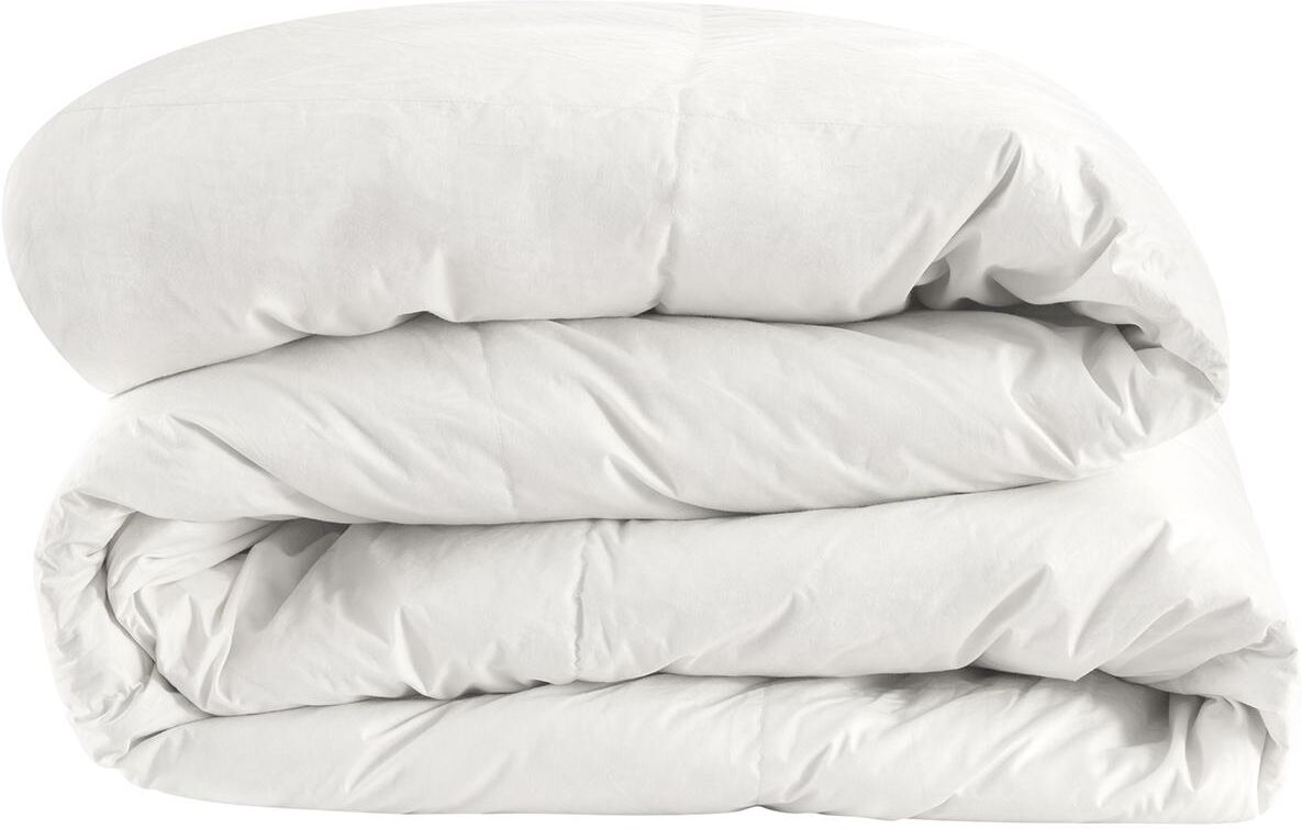 Bassetti PIUMINO OCA INVERNALE 15% piumino 85% Piumette Piazza e mezza Bassetti PIUMINO OCA INVERNALE 15% piumino 85% Piumette Piazza e mezza