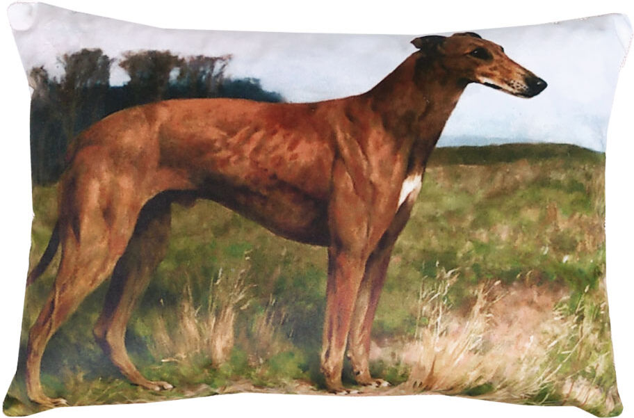 Trussardi Cuscino decorativo 30x45 cm con imbottitura PAINTINGS Trussardi Cuscino decorativo 30x45 cm con imbottitura PAINTINGS