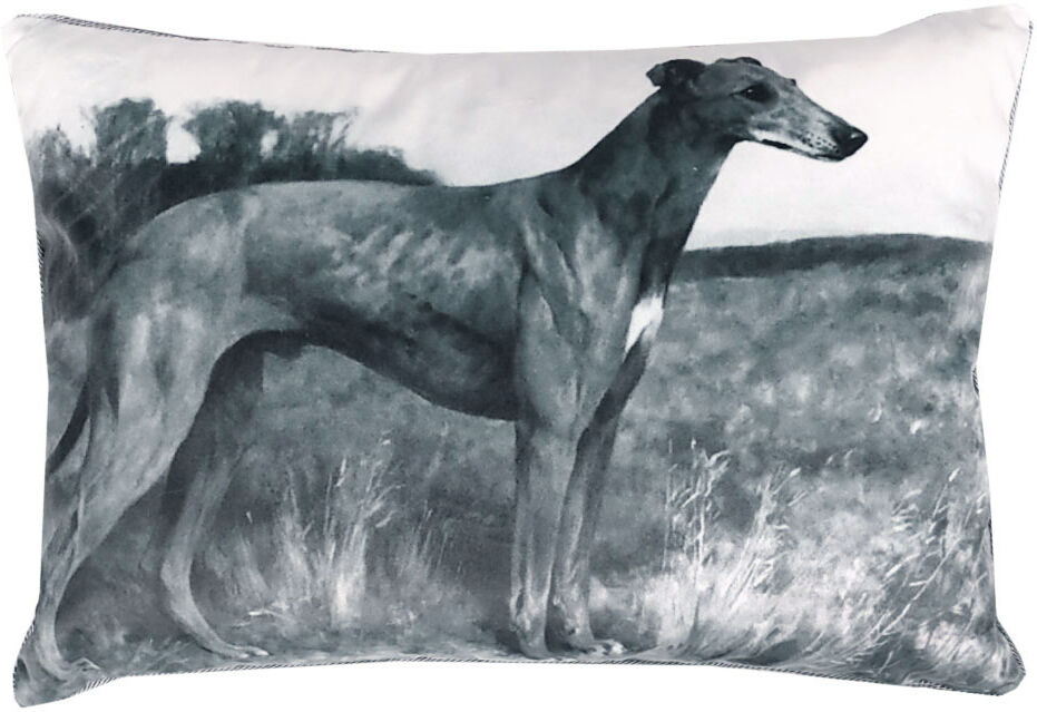 Trussardi Cuscino decorativo 30x45 cm con imbottitura PAINTINGS grigio Trussardi Cuscino decorativo 30x45 cm con imbottitura PAINTINGS grigio