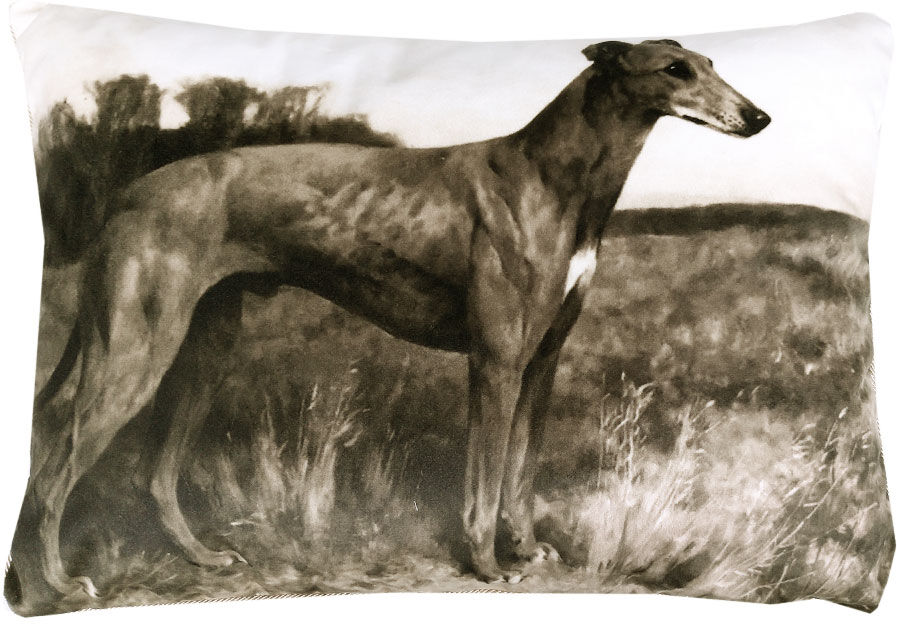 Trussardi Cuscino decorativo con imbottitura PAINTINGS grigio seppia Trussardi Cuscino decorativo con imbottitura PAINTINGS grigio seppia