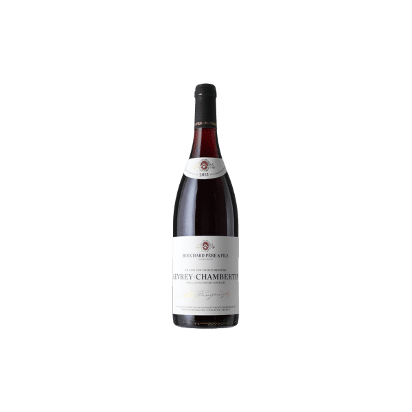 bouchard pere & fils gevrey-chambertin 2019 - bouchard pere et fils