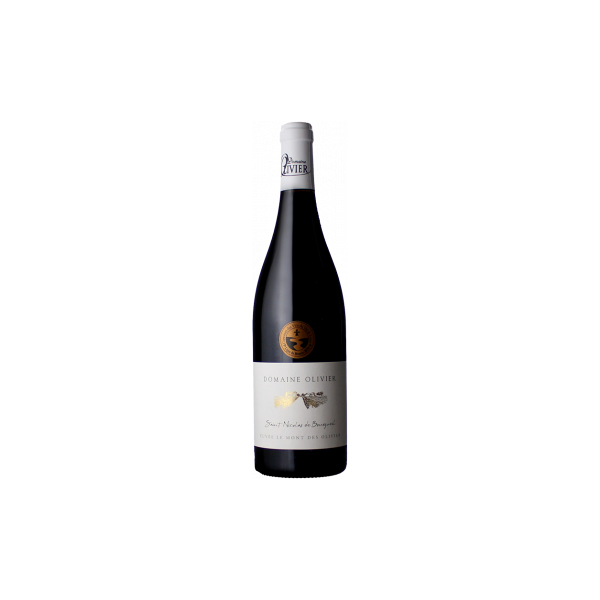 st nicolas de bourgueil - cuvée mont olivier 2020 - domaine olivier