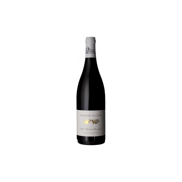 st nicolas de bourgueil - cuvée domaine 2022 - domaine olivier