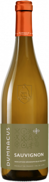 sauvignon blanc - loire rebelle 2022 - dumnacus vignerons