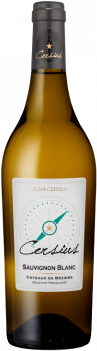 Cersius Blanc - Sauvignon 2022 - Alma Cersius