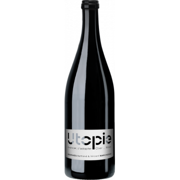 Bourgueil - Utopie 2021 -  Bertrand & Vincent Marchesseau