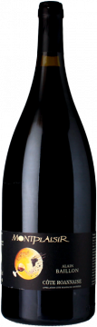 Domaine Alain Baillon Magnum - Côte Roannaise - Montplaisir 2019 - Alain Baillon