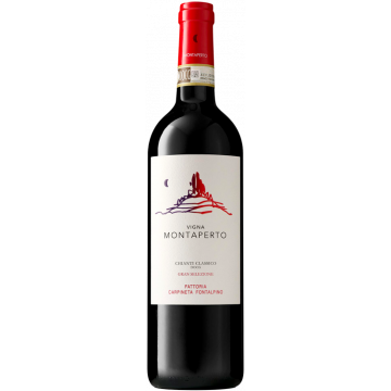 Chianti Classico Vigna Montaperto Gran Selezione 2018 - Fattoria Carpineta Fontalpino