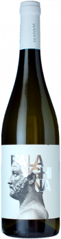 Favugnë Falanghina Bianco 2023 - Cantine Teanum