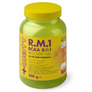 +Watt R.M.1 New Formula (BCAA 8:1:1) 500 gr