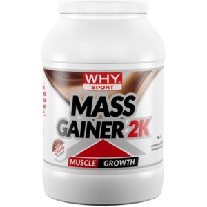 WHY Sport Mass Gainer 2K 2000 gr