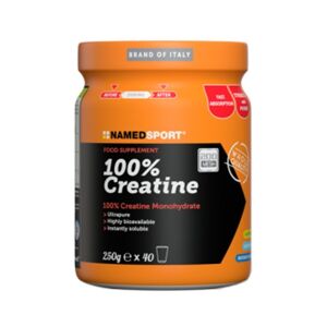 Named Sport 100% Creatina 250 gr