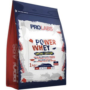 Prolabs Power Whey Amino Support 1 Kg