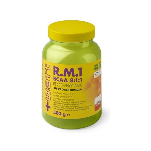 +watt r.m.1 new formula (bcaa 8:1:1) 500 gr