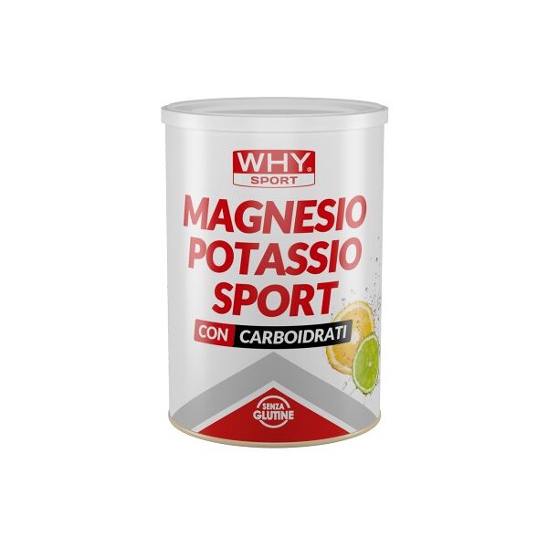 why sport magnesio potassio sport 300 gr gusto agrumi