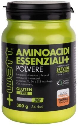 +watt aminoacidi essenziali+ polvere 300 gr