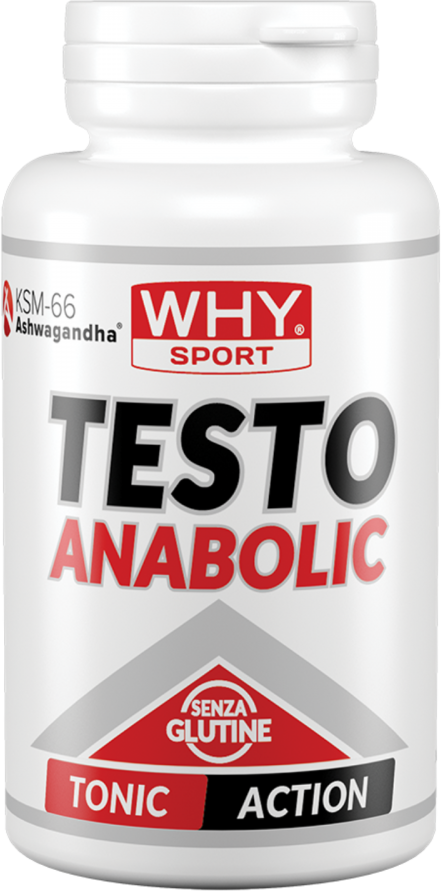 WHY Sport Testo Anabolic 90 cpr