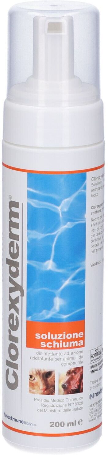 Clorexyderm ® Soluzione schiuma 200 ml Mousse Clorexyderm ® Soluzione schiuma 200 ml Mousse