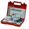 PVS Cassetta Pronto Soccorso Per Primo Soccorso Ferite Piccole Dim. 235x190x43 Mm