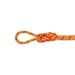 Mammut Corde alpinismo / arrampicata 8,7 alpine sender dry, corda tripla certificazione 70 mt arancione