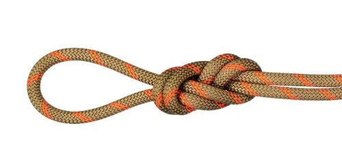 Mammut Corde alpinismo / arrampicata 8,0 alpine dry, mezza corda 60 mt boa-safety orange