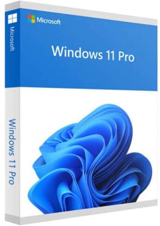 Microsoft Windows 11 Professional Licenza A Vita 64 Bit - Licenza Originale - Paypal