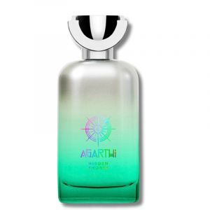 Agarthi Hidden Shores 100 ml, Extrait de Parfum Spray Uomo