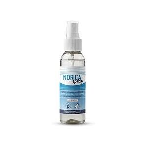 Polifarma Norica Spray Igienizzante Mani E Superfici 100 Ml