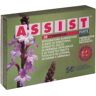 Gd Assist Forte Retard 30 Compresse