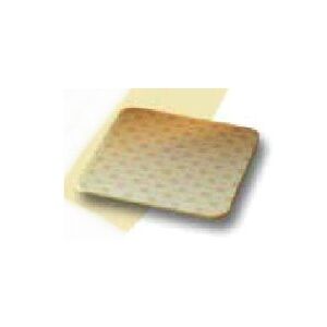 Coloplast Medicazione Speciale Attiva Con Schiume Comfeel Biatain 10x10cm 10 Pezzi