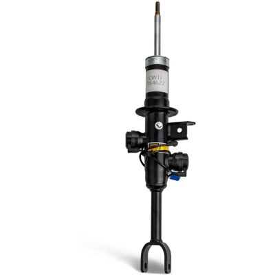 Aerosus Ammortizzatore BMW Serie 5 RWD / Con VDC F10 / F10(LCI) 2010 - 2016 Anteriore Sinistra con VDC (Variable Damper Control) 37116796855, 37116863119 Aerosus Ammortizzatore BMW Serie 5 RWD / Con VDC F10 / F10(LCI) 2010 - 2016 Anteriore Sinistra con VDC (Variable Damper Control) 37116796855, 37116863119