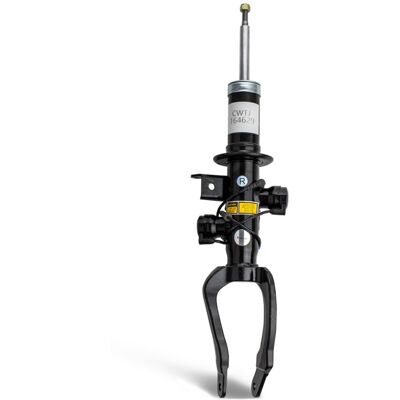 Aerosus Ammortizzatore BMW Serie 5 Xdrive F10 / F10(LCI) 2010 - 2016 Anteriore Destra con VDC (Variable Damper Control) 37116796858 , 37.11-6796858 Aerosus Ammortizzatore BMW Serie 5 Xdrive F10 / F10(LCI) 2010 - 2016 Anteriore Destra con VDC (Variable Damper Control) 37116796858 , 37.11-6796858