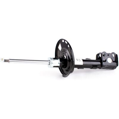 Aerosus Ammortizzatore Lexus RX 200t/300/350/450h Anteriore Sinistra con AVS 48520-80462, 48520-48440 Aerosus Ammortizzatore Lexus RX 200t/300/350/450h Anteriore Sinistra con AVS 48520-80462, 48520-48440