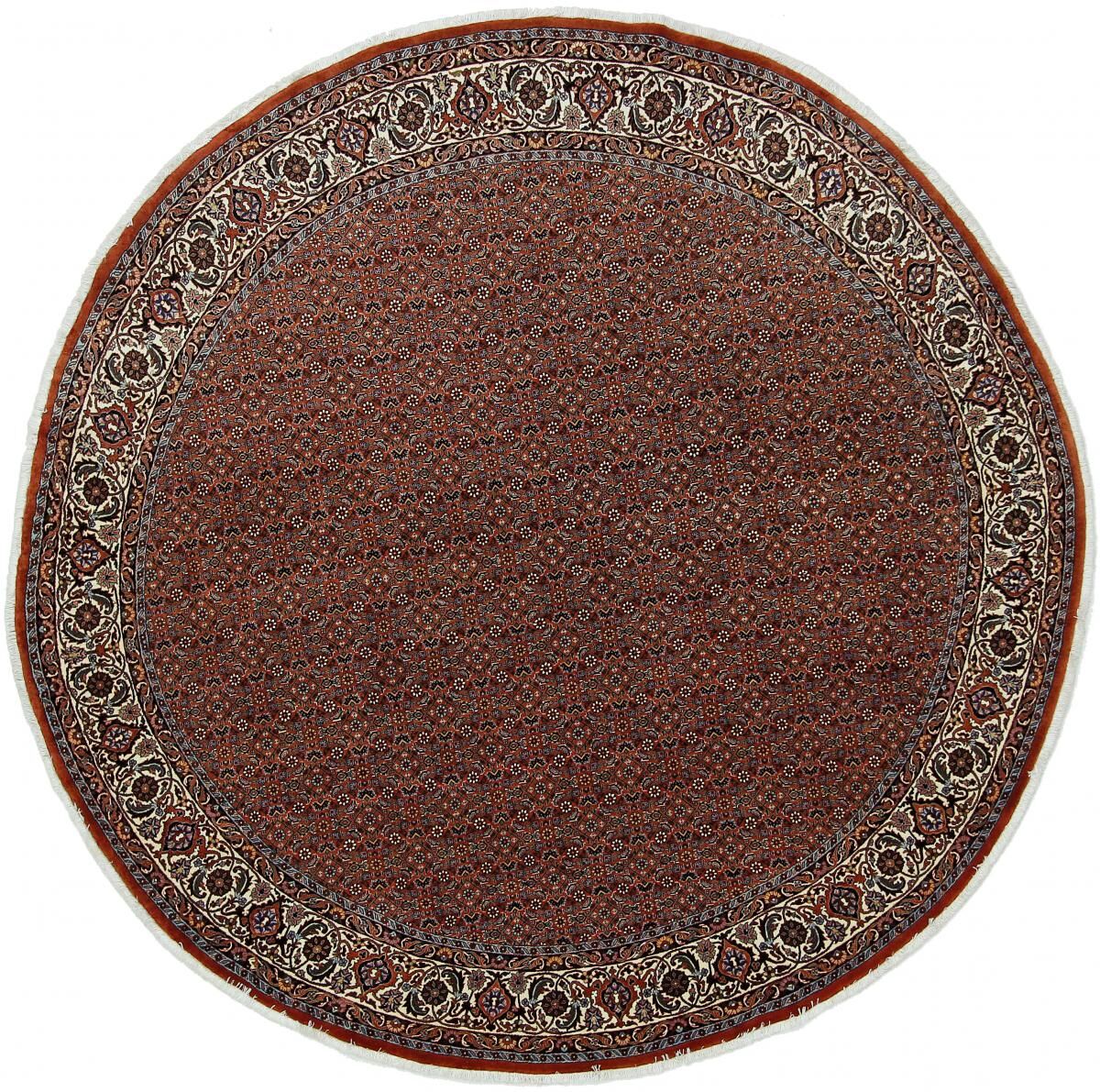 Nain Trading Tappeto Fatto A Mano Bidjar 249x249 Rossoondo Marrone Scuro (Lana, Persia/Iran) Nain Trading Tappeto Fatto A Mano Bidjar 249x249 Rossoondo Marrone Scuro (Lana, Persia/Iran)