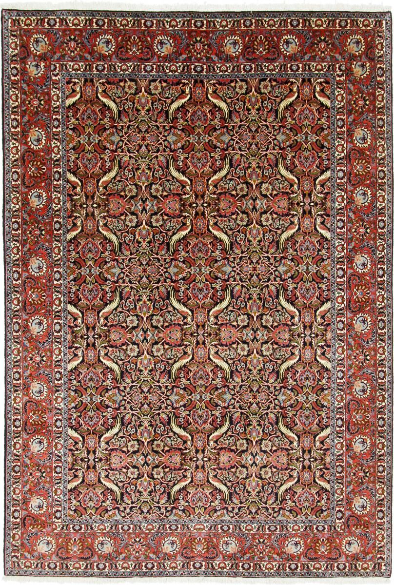 Nain Trading Tappeto Bidjar 297x203 Ruggine/Rosa (Lana / Seta, Persia/Iran, Annodato a mano) Nain Trading Tappeto Bidjar 297x203 Ruggine/Rosa (Lana / Seta, Persia/Iran, Annodato a mano)