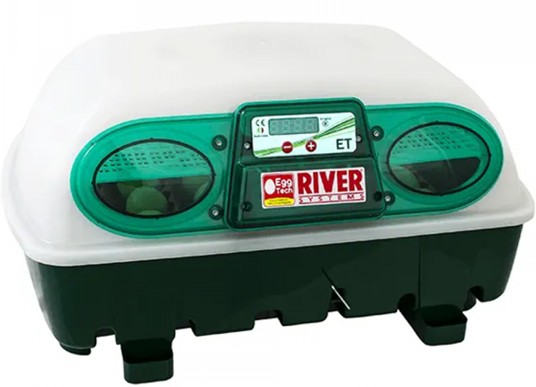 incubatrice per uova semi-automatica river systems et 24