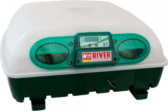 incubatrice per uova semi-automatica river systems et 49