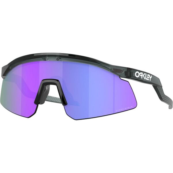 oakley hydra crystal black prizm violet one size