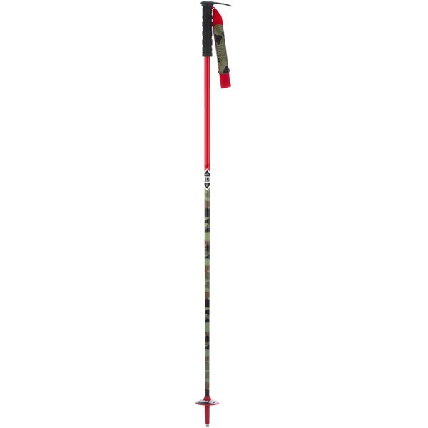 line whip ski poles