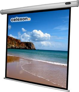 Celexon 1090066 1:1 Nero, Bianco schermo per proiettore