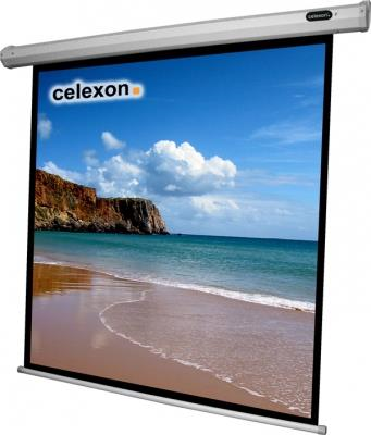 Celexon , Motor Economy, Leinwand, 1:1 elektrisch, 220X220cm 1:1 Nero, Bianco schermo per proiettore