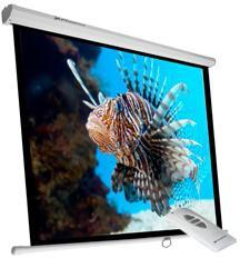 Phoenix PHPANTALLA-ELEC240 schermo per proiettore 3,43 m (135") 1:1 Phoenix PHPANTALLA-ELEC240 schermo per proiettore 3,43 m (135") 1:1