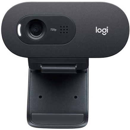 Logitech C505e webcam 1280 x 720 Pixel USB Nero